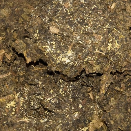 Набір пробників чорного чаю Хунані. Набір пробників чорного чаю Хунані.