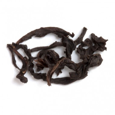 Нарцис Нарцис