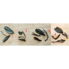 Знайомство з пуерами з Менхаю, гора Наньно (середній рівень)