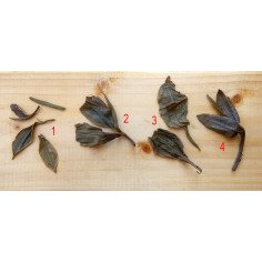 Знайомство з пуерами з Менку (середній рівень)