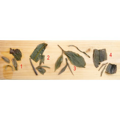 Ознайомлення з пуерами з Менли, гори Іу (середній рівень)