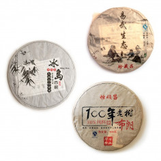 Знайомство з шен пуерами (початковий рівень)