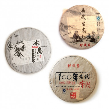 Знайомство з шен пуерами (початковий рівень)