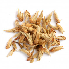 Нефритові нирки 2