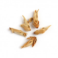 Нефритові нирки