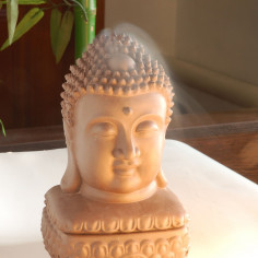 Курителька запашна "Голова Будди" 2