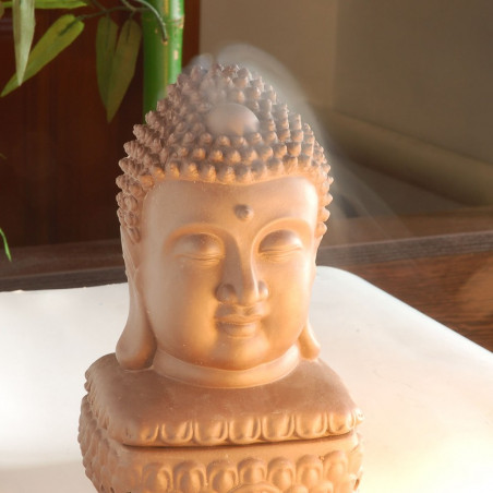 Курителька запашна "Голова Будди"