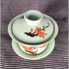 Ніжно-зелена гайвань із червоною сніжною сливою. 2