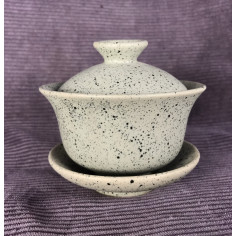 Сіра гайвань у цятку