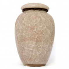 Біла чайниця «колотий лід»