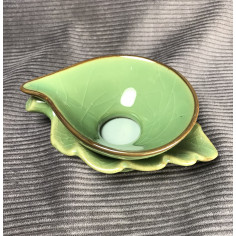 Селадонове ситечко болотно-зеленого кольору