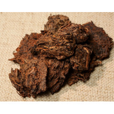 Старий чай голови з 400-річних дерев