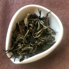 Красуня місячного світла