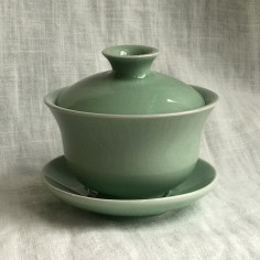 Велика гайвань з діаго кольору зеленої сливи