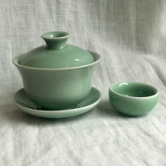 Велика гайвань з діаго кольору зеленої сливи 2