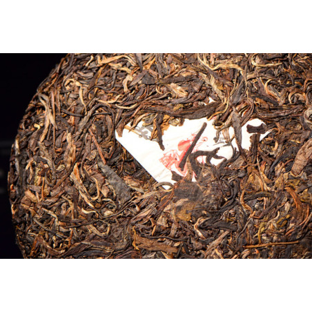 Весняний шен зі старих дерев Біндао гори Весняний шен зі старих дерев Біндао гори