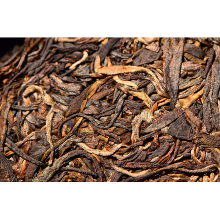 Весняний шен зі старих дерев Біндао гори Весняний шен зі старих дерев Біндао гори