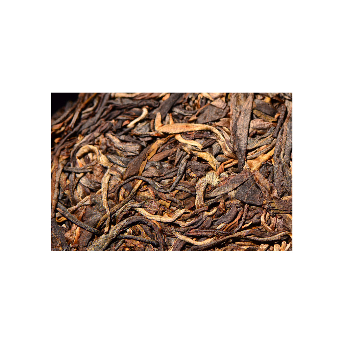 Весняний шен зі старих дерев Біндао гори Весняний шен зі старих дерев Біндао гори