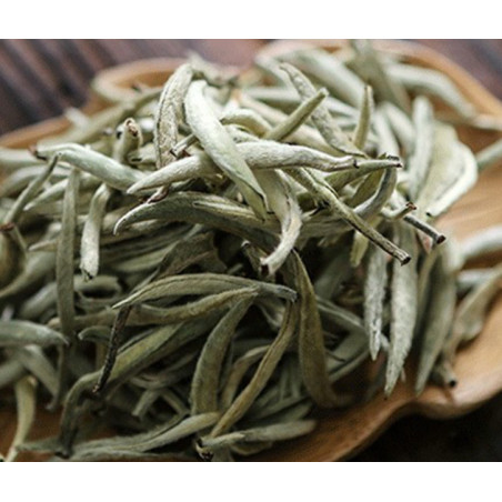 Біле місячне світло