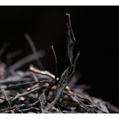 Чай з медовим ароматом з диких дерев 2