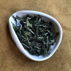 Білий півонія