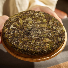 Білий півонія з Паньсі в млинці 2