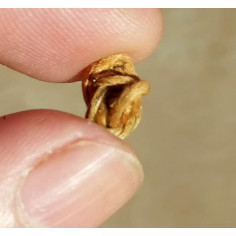 Вузол золотих ниток з Юньнані