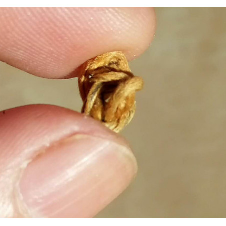 Вузол золотих ниток з Юньнані Вузол золотих ниток з Юньнані