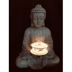 Гайвань із лотосом