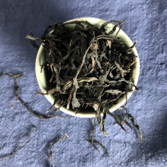 З ароматом чудової орхідеї поодинокі кущі з гір Фенікса 2