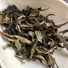 Білий півонія з медовим ароматом 2