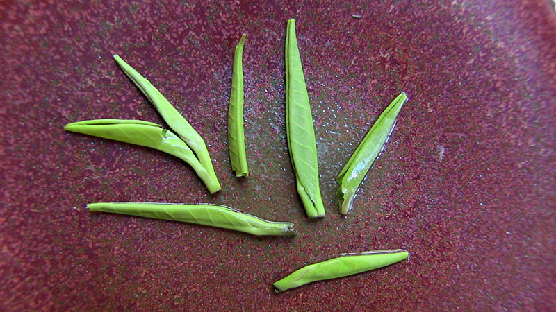 Жовтий чай з Яаня 雅安黄茶 Я Ань Хуан Ча