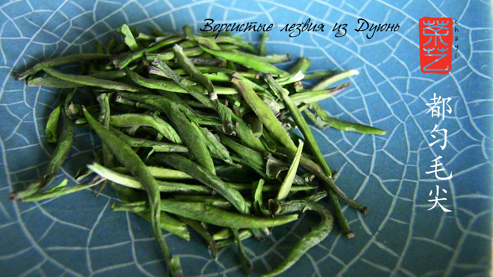 Солодка роса з гори Мендин 蒙顶甘露 Мен Дін Гань Лу